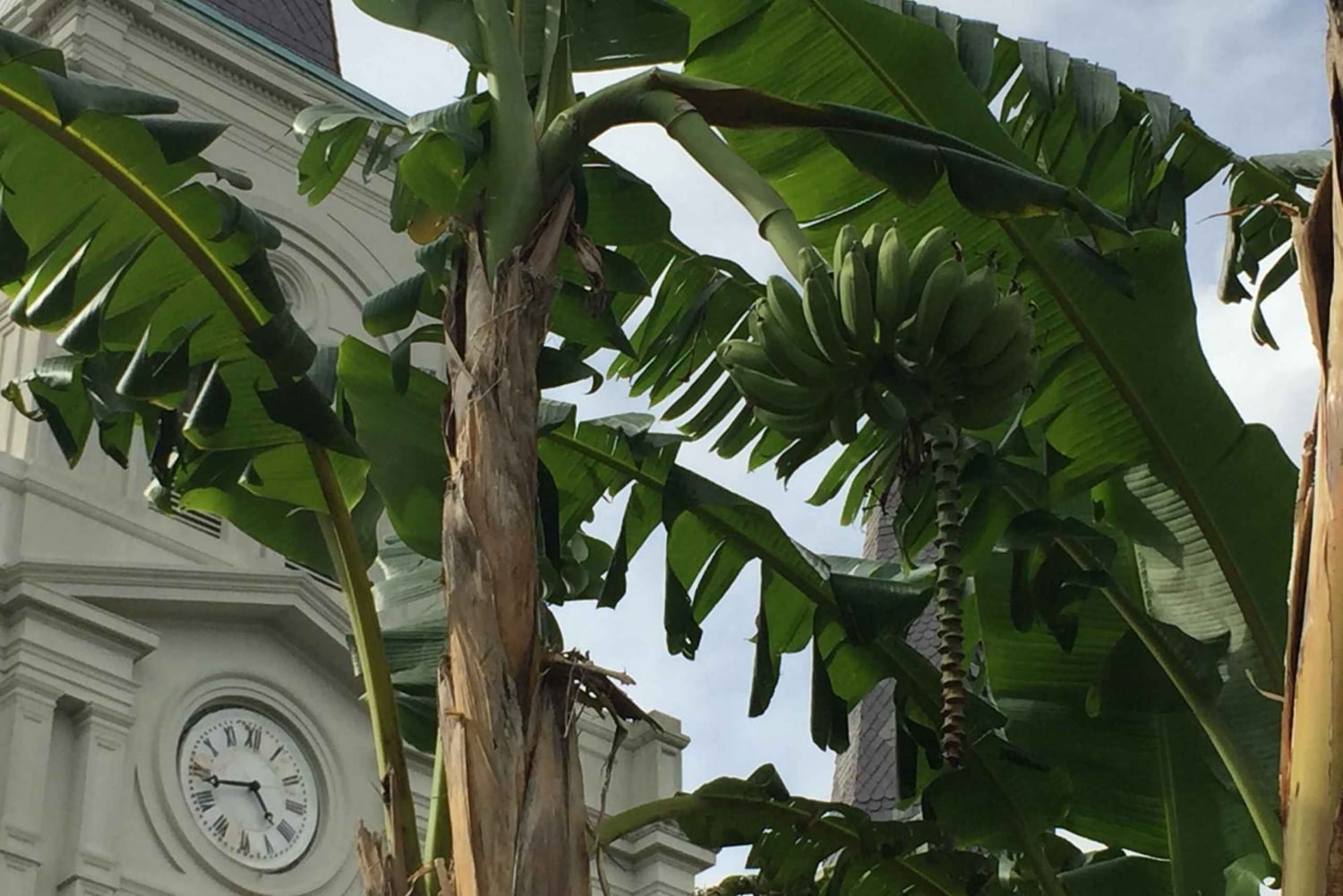 Nouvelle-Orléans : 45 minutes à Jackson Square