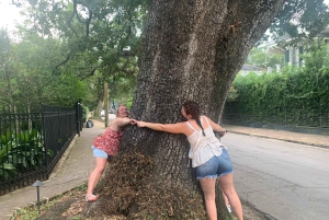 New Orleans: 45 Minutes in the Garden District