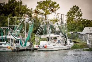 From New Orleans: Airboat Adventure Tour