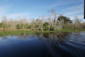 New Orleans: Airboat or Pontoon Boat Cruise with Transfers