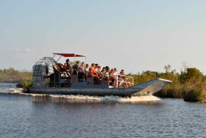 New Orleans: Airboat Swamp Adventure with Transportation