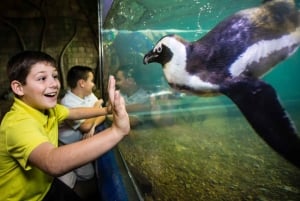 Новый Орлеан: Билет в аквариум и инсектарий Одюбона