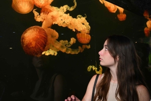 Новый Орлеан: Билет в аквариум и инсектарий Одюбона