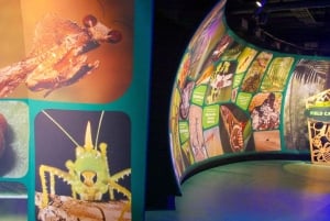 Новый Орлеан: Билет в аквариум и инсектарий Одюбона