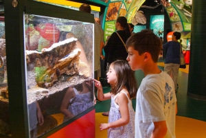 New Orleans: Audubon Aquarium & Insectarium billet