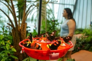 Nouvelle-Orléans : Billet pour l'Aquarium et l'Insectarium Audubon