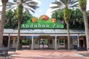 New Orleans: Audubonin eläintarhan lippu ja yhdistelmävaihtoehto