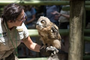New Orleans: Audubon Zoo-billet og kombinationsmulighed