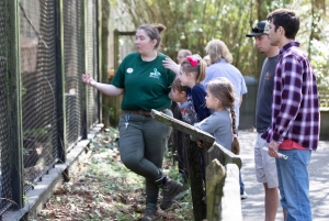 New Orleans: Audubon Zoo-billet og kombinationsmulighed