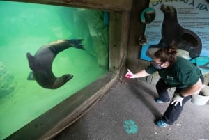 Nova Orleans: Ingresso para o Audubon Zoo e opção de combinação