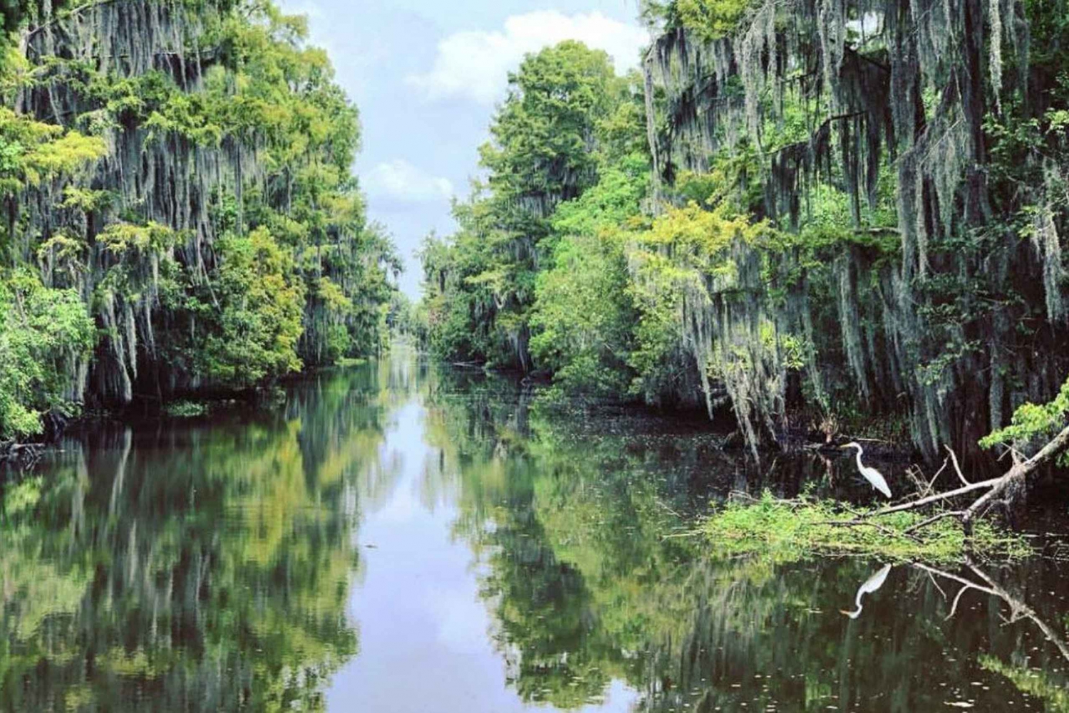 New Orleans: Bayou Tour in Jean Lafitte National Park