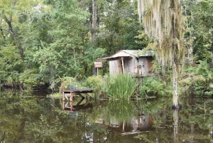 New Orleans: Bayou Tour in Jean Lafitte National Park