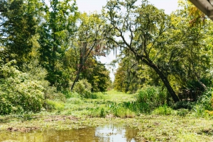 New Orleans: Bayou-tur i Jean Lafitte nasjonalpark