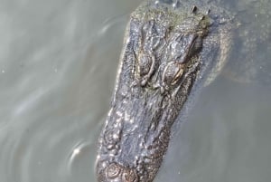 New Orleans: BYOB Tiki Boat Bayou Party och Wildlife Tour
