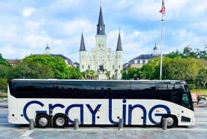 New Orleans: City & Cemetery Tour + Garden District Stroll