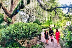 New Orleans: City & Cemetery Tour + Garden District Stroll