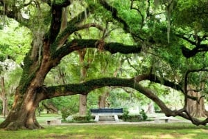 New Orleans: City & Cemetery Tour + Garden District Stroll