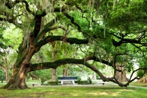 Nueva Orleans: Combo de tour de la ciudad y crucero diurno de jazz por Natchez