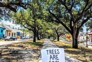 Nova Orleans: História e cultura crioula Passeio de bicicleta no bairro