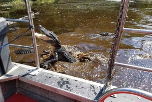 New Orleans: Destrehan Plantation & Airboat Combo Tour