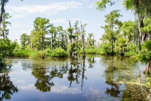 New Orleans: combinazione piantagione Destrehan e palude