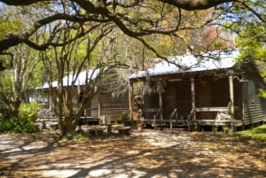 Nueva Orleans: Visita a la Plantación de Destrehan