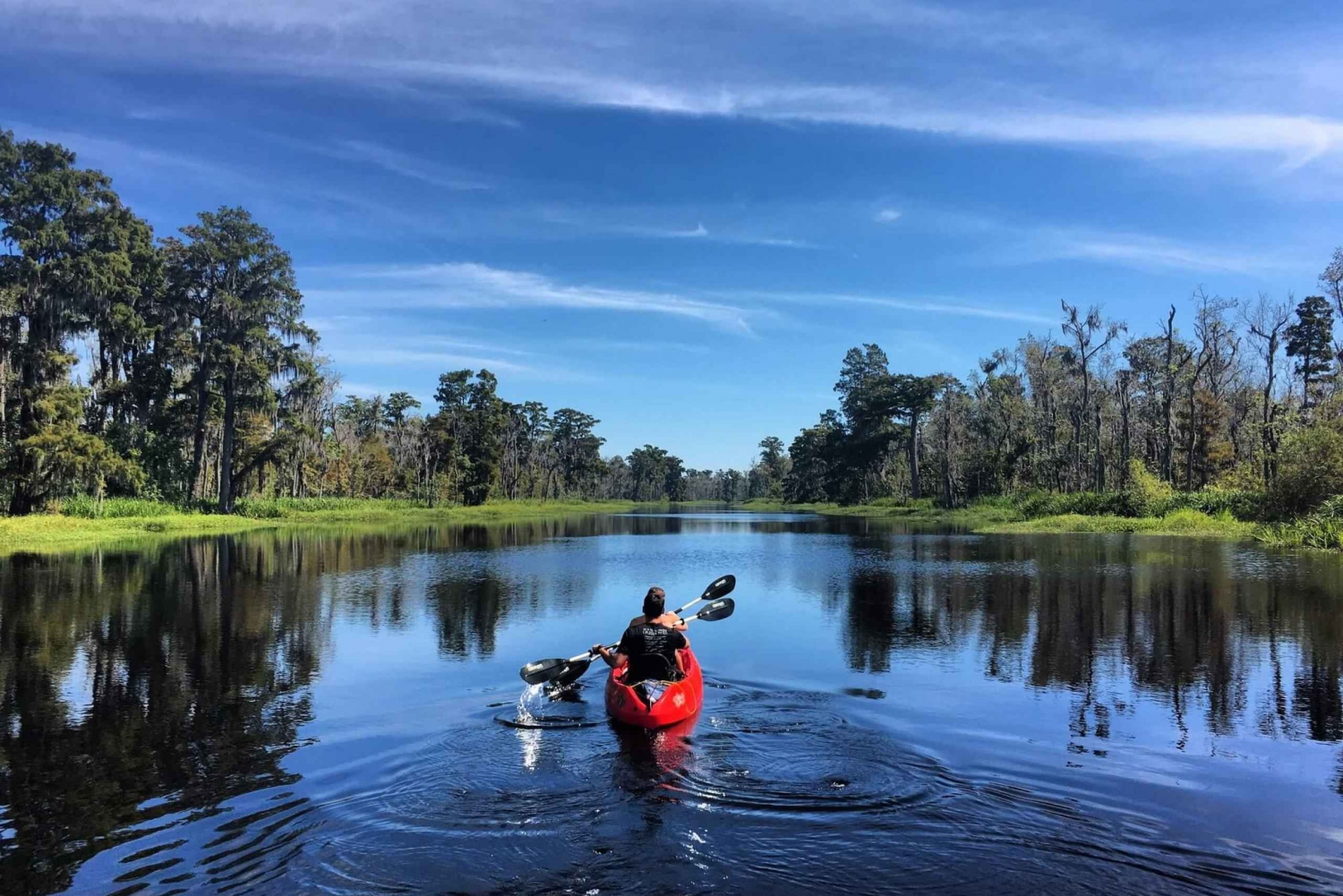 New Orleans: Extended Manchac Swamp Kayak Tour