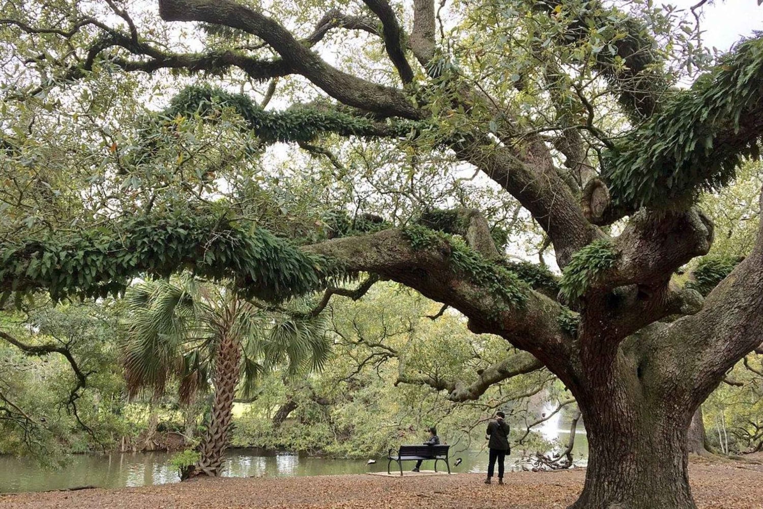 New Orleans Favorites: Tour jenseits des French Quarter
