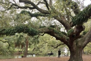 New Orleans Favorites: Tour jenseits des French Quarter