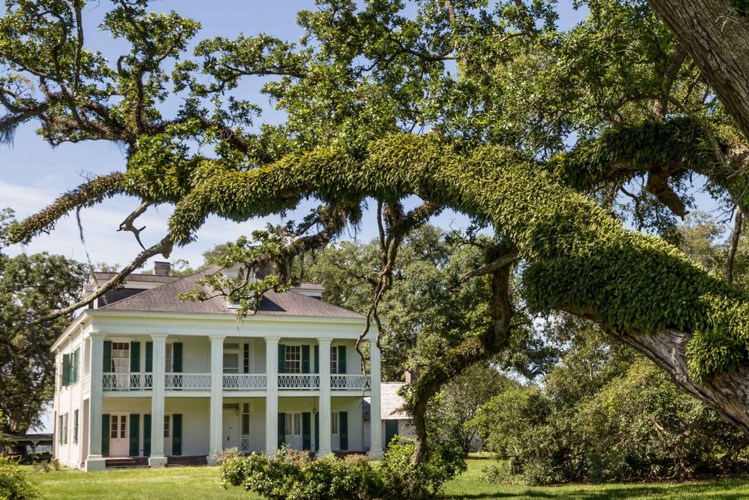 New Orleans: Guidet omvisning på Felicity Plantation