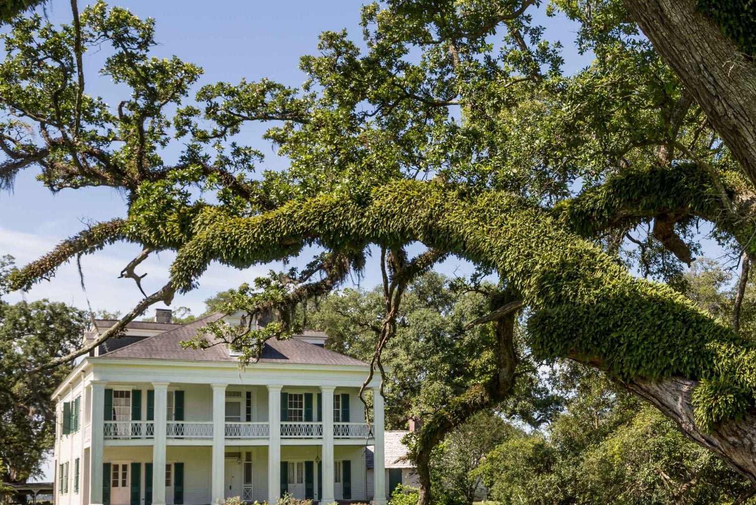 New Orleans: Felicity Plantation Guided Tour