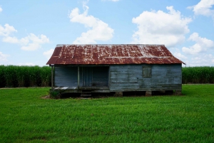 La Nouvelle-Orléans : Visite guidée de Felicity Plantation