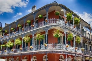 New Orleans French Quarter Walking Tour & Cruise Tickets