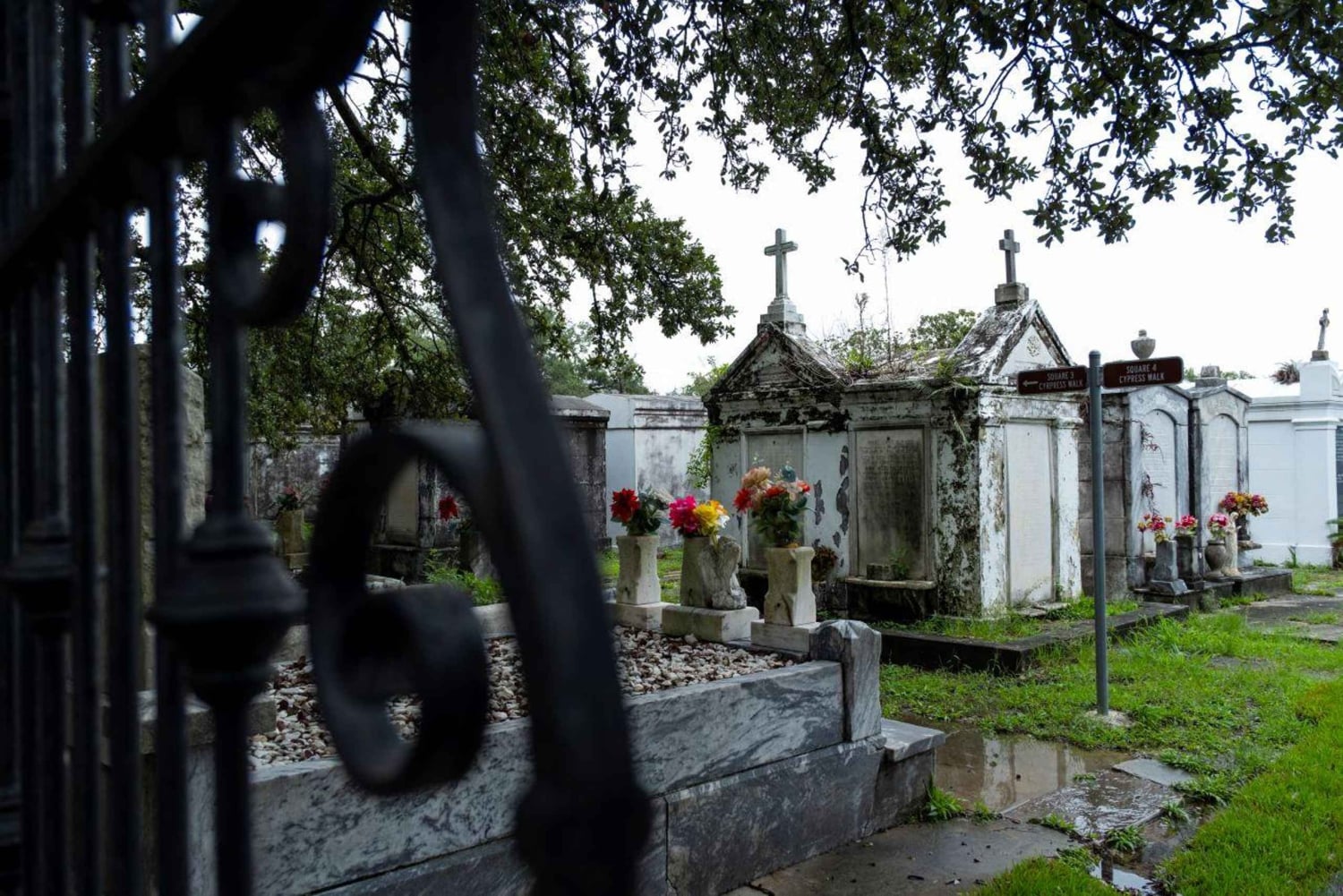 New Orleans Garden District: History & Hidden Gems