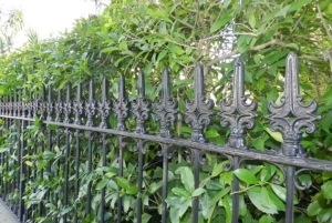 New Orleans: Vandring i Garden District