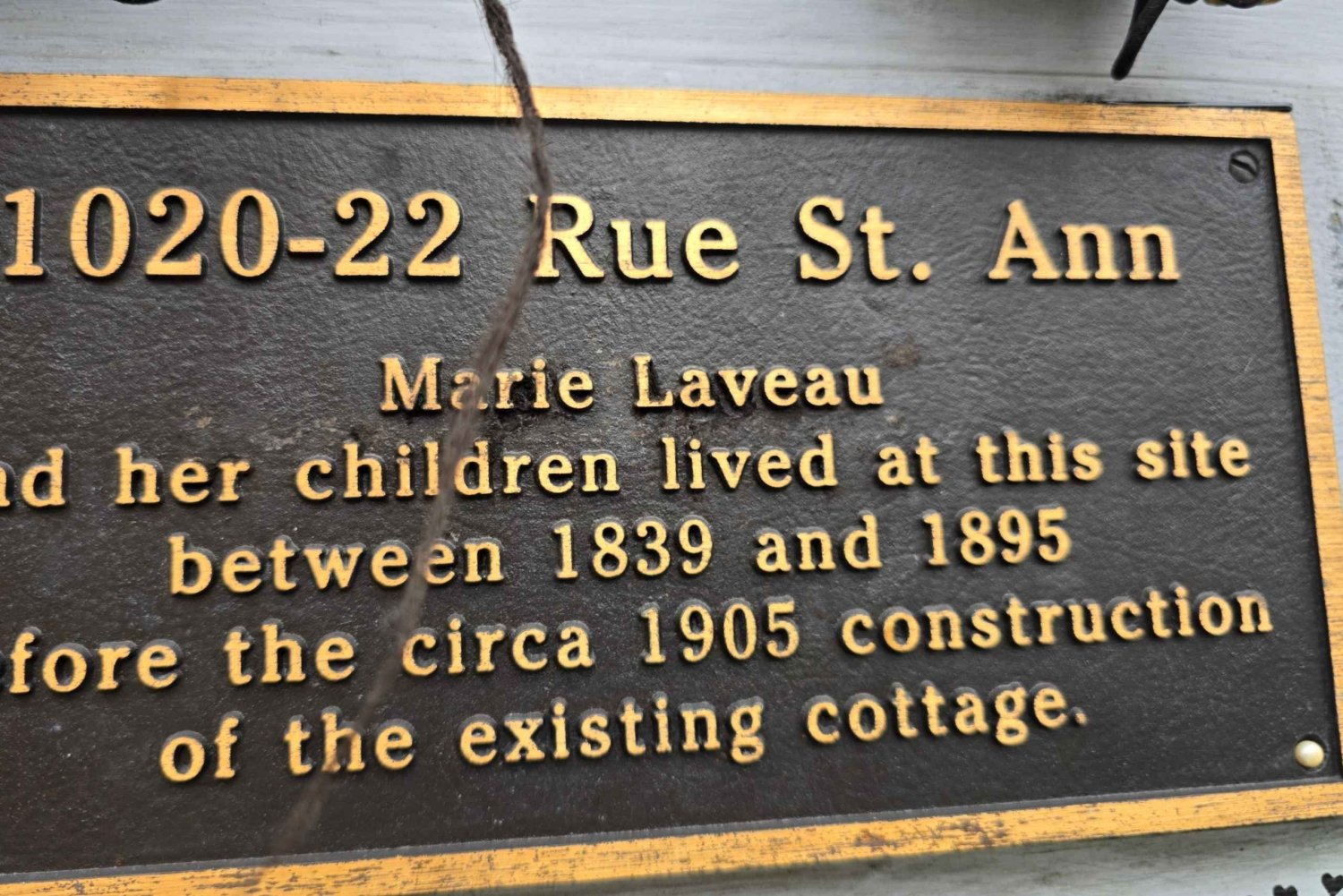 New Orleans' forgyldte grus: Byvandring i kvinders historie