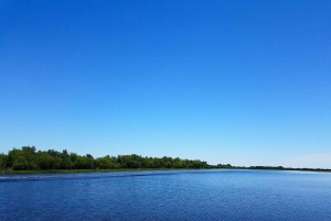 New Orleans: Ponton Swamp Tour met gids en wilde dieren bekijken