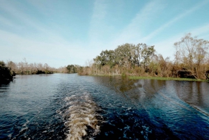 Nouvelle-Orléans : balade en hydroglisseur pour 16 personnes