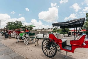 Nueva Orleans: Tour en autobús turístico con paradas libres