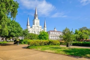 New Orleans Jewish History Private Guided Walking Tour