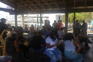 ニューオーリンズ：ローラプランテーションとエアボートツアー