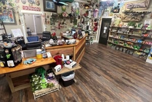 New Orleans Manchac Bayou Swamp Cruise W/ Optional Pick-Up