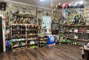 New Orleans Manchac Bayou Swamp Cruise W/ Optional Pick-Up