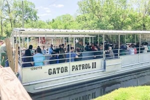 Manchac Bayou Swamp Cruise with Optional Pickup