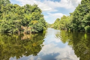 New Orleans: Manchac Bayou Swamp Cruise with Optional Pickup