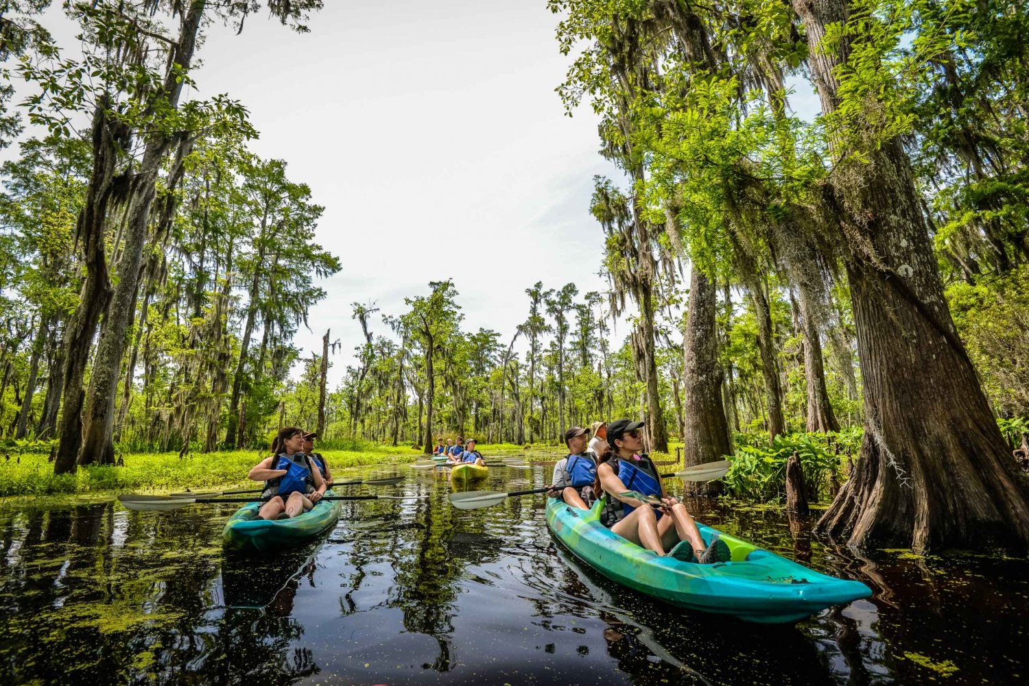 New Orleans: Manchac Magic Kayak Swamp Tour