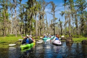 New Orleans: Manchac Magic Kayak Swamp Tour