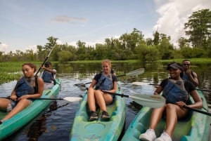 Nowy Orlean: Manchac Magic Kayak Swamp Tour