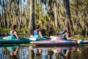 Nueva Orleans: Excursión en Kayak por el Pantano Mágico de Manchac