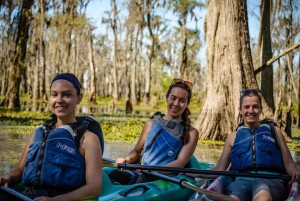 Nowy Orlean: Manchac Magic Kayak Swamp Tour